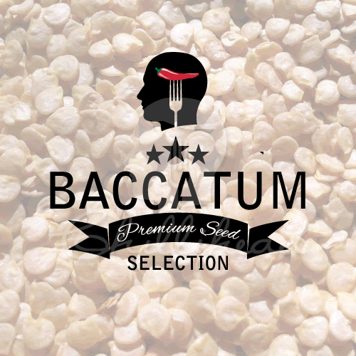Baccatum Premium Seed Selection