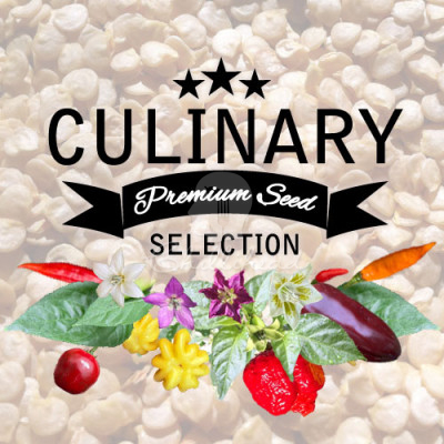 Culinary Premium Seed Selection