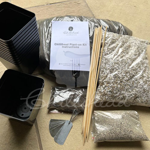Chillihead Plant-on Kit