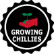Growing Chillies