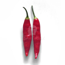 Aji Omnicolor (Secluded) Chilli Seeds