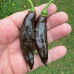Georgia Black (Secluded) Chilli Seeds