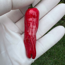 Golden Greek Pepperoncini