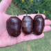 Rocoto Brown (Secluded)