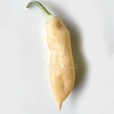 Sugar Rush Peach Chilli Seeds 