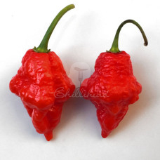 Turks Cap Chilli Seeds