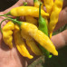 Aji Lemon Chilli Seeds