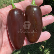 Brown Jalapeño Chilli Seeds