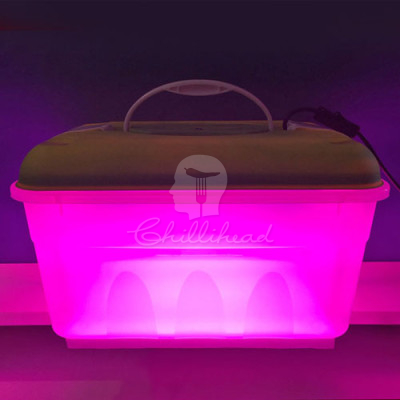 Chillihead Solaris Kit