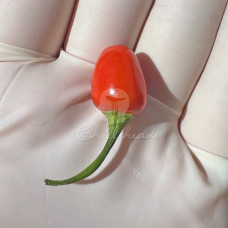 Chiltepin Chihuahua Chilli Seeds