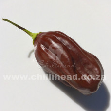 Habanero Ebony Giant