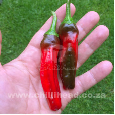 Peperone Friariello di Napoli