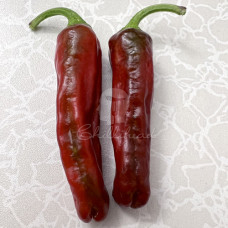 Shishito (Secluded) Chilli Seeds