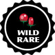 Wild & Rare Chillies