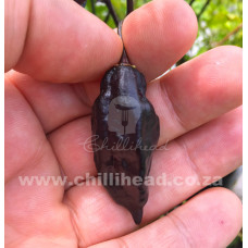 Yaki Blue Fawn Chilli Seeds