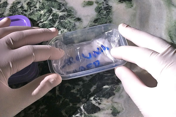 Place seeds enclosed in ziplock in container