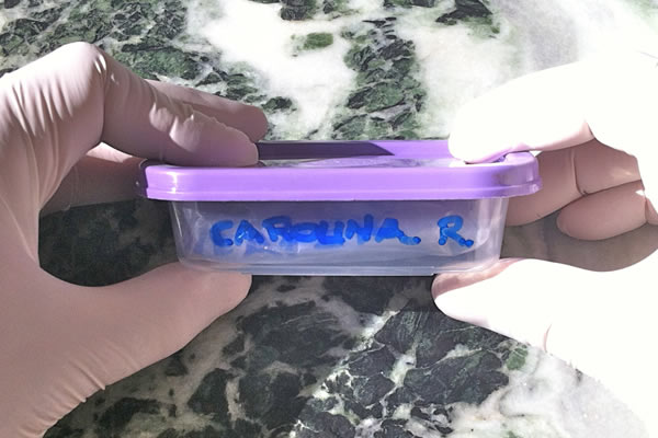 Make sure container is labeled