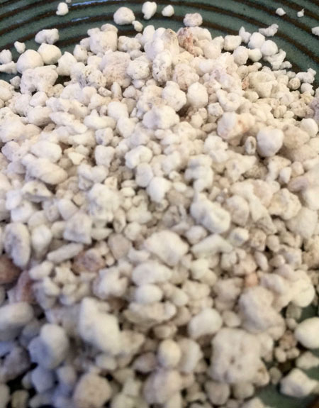 Close up of Perlite