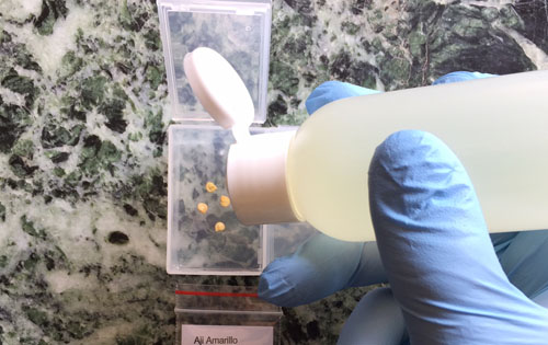 Fill container with presoak liquid